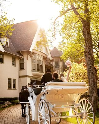 Ready for Spring and Happily Ever After!! 🌸🐴🌸